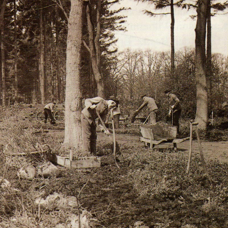 Pflanzungen 1936